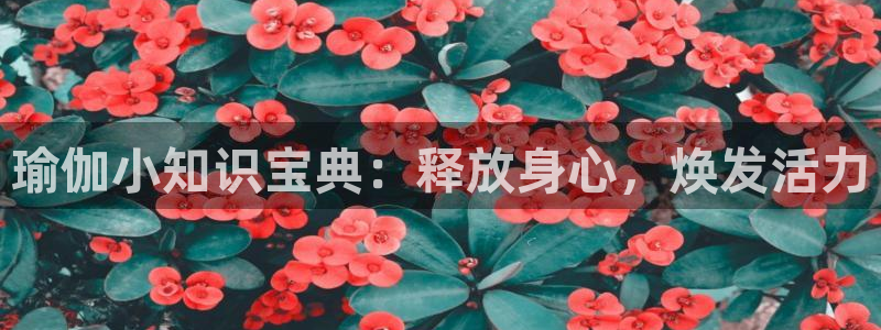 437ccm·必赢国际