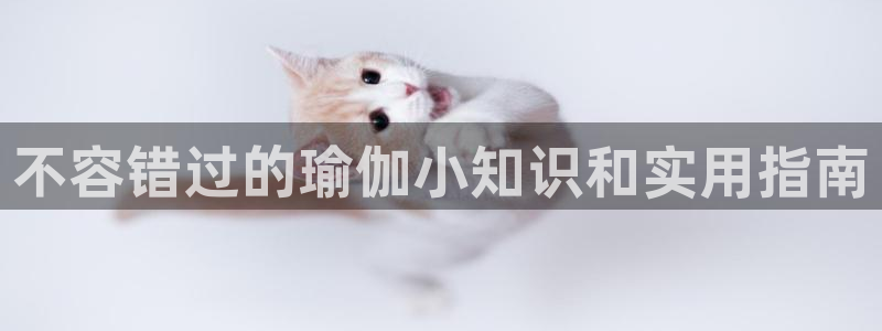 72886必赢网站