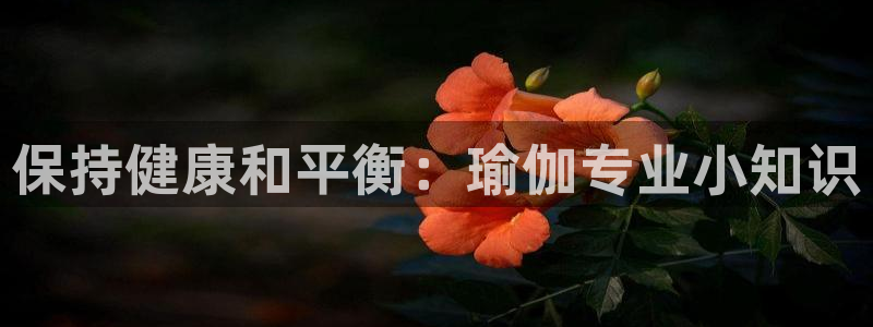 bwin官网网站